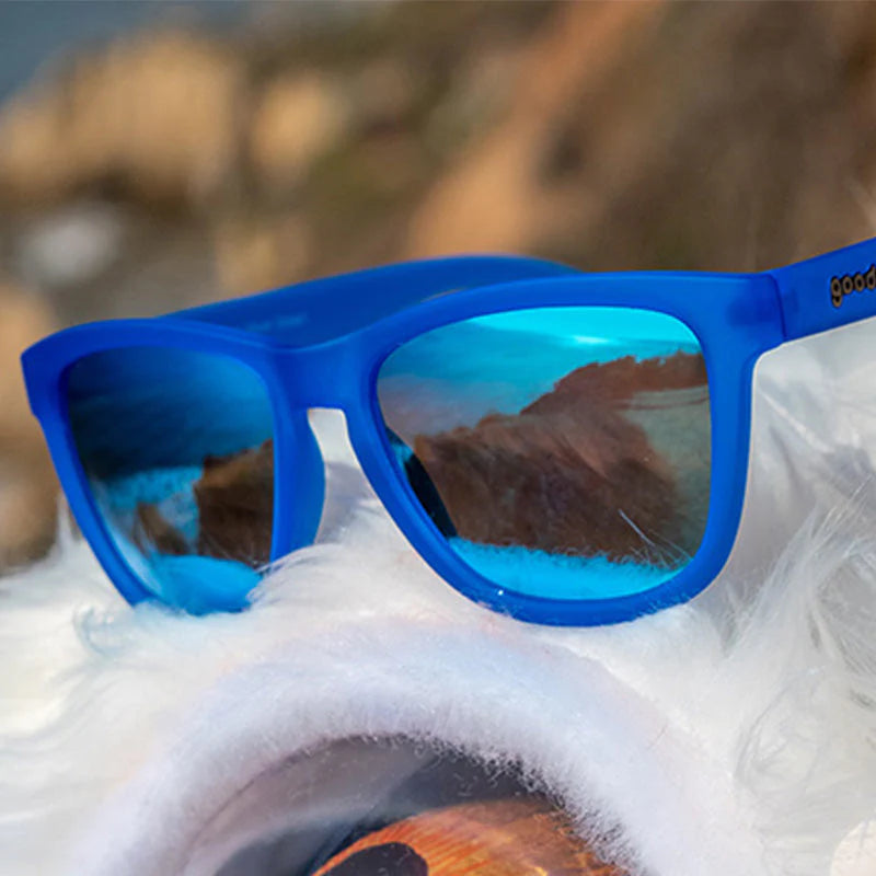 Falkor's Fever Dream - View 4