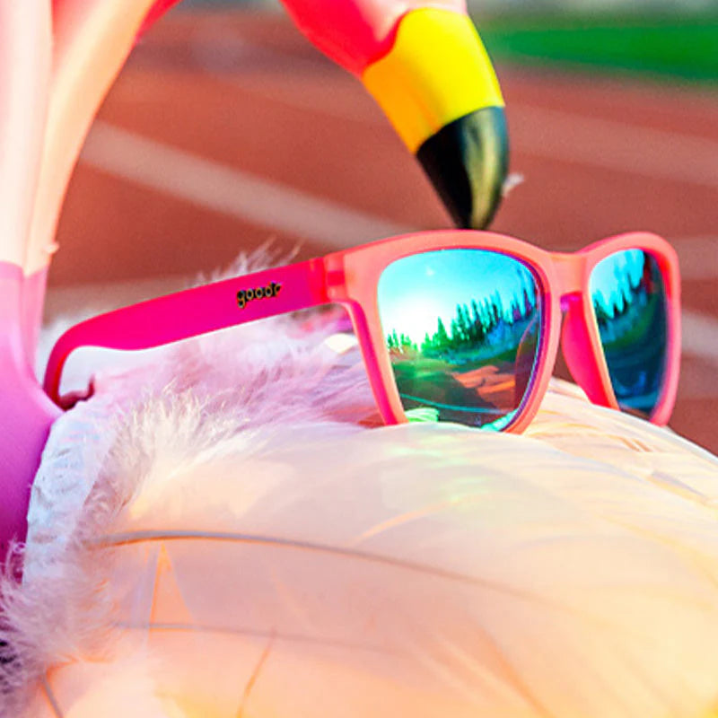 Flamingos On A Booze Cruise - View 4
