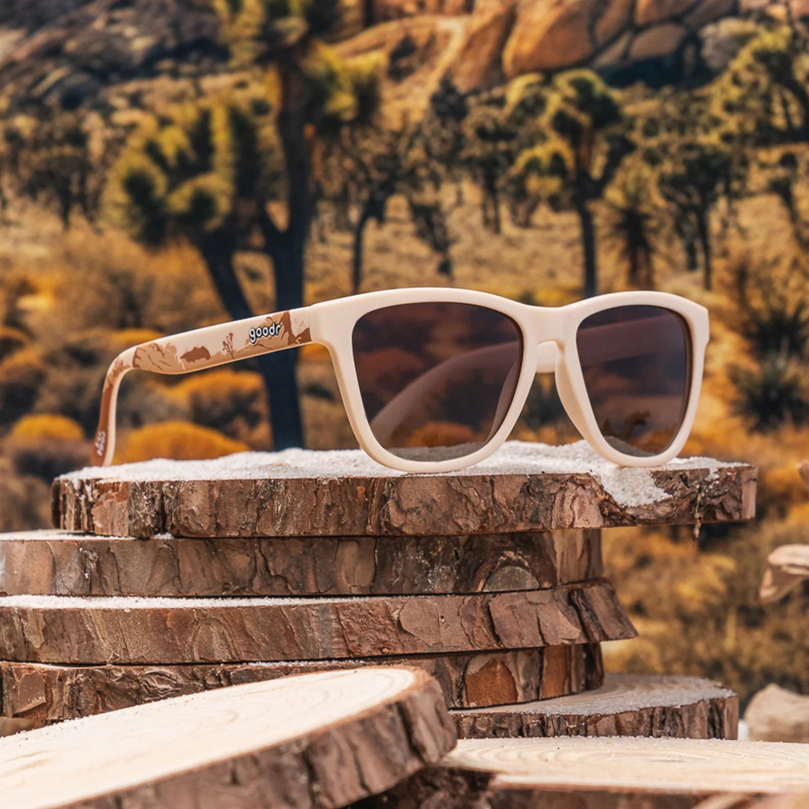 Joshua Tree National Park 2024 - View 2