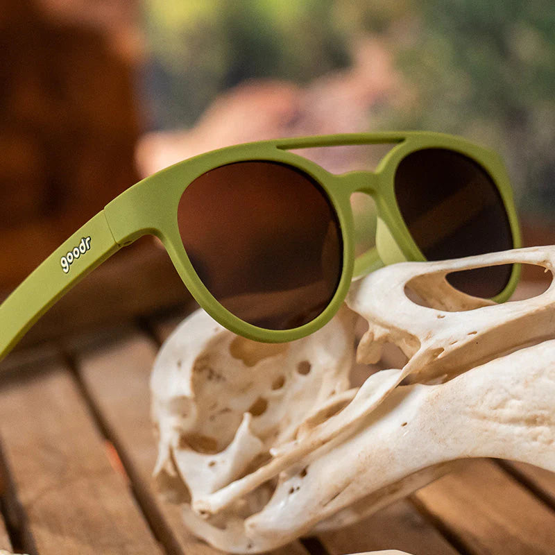 Fossil Finding Focals - View 4