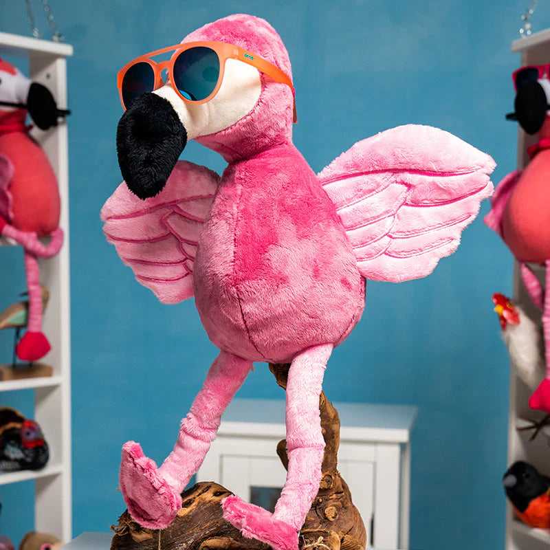 Stay Fly, Ornithologists - View 4