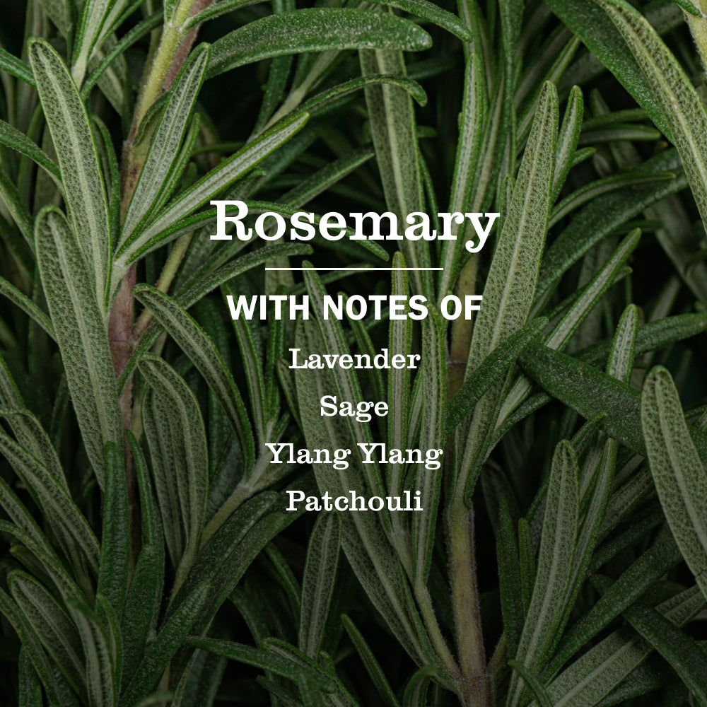 Rosemary Liquid Hand Soap - View 4