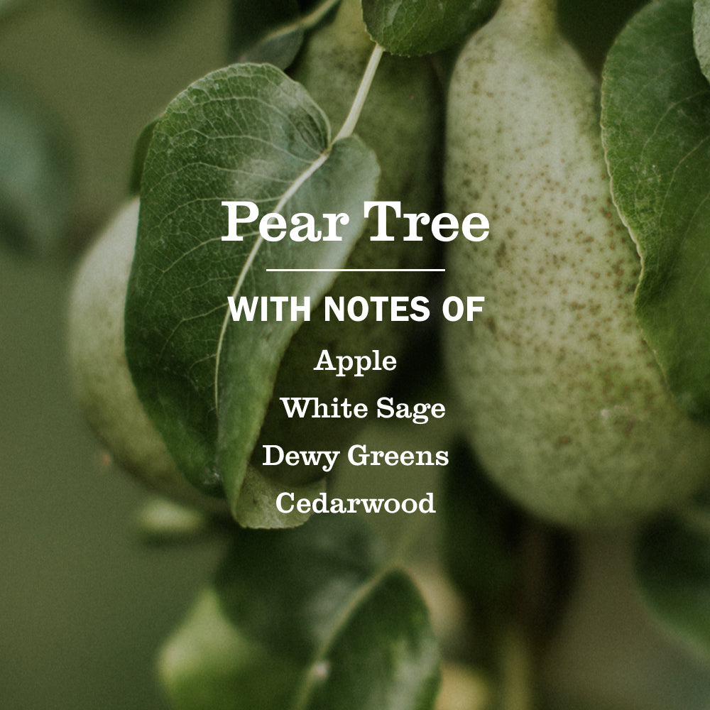 Pear Tree Room Freshener - View 4