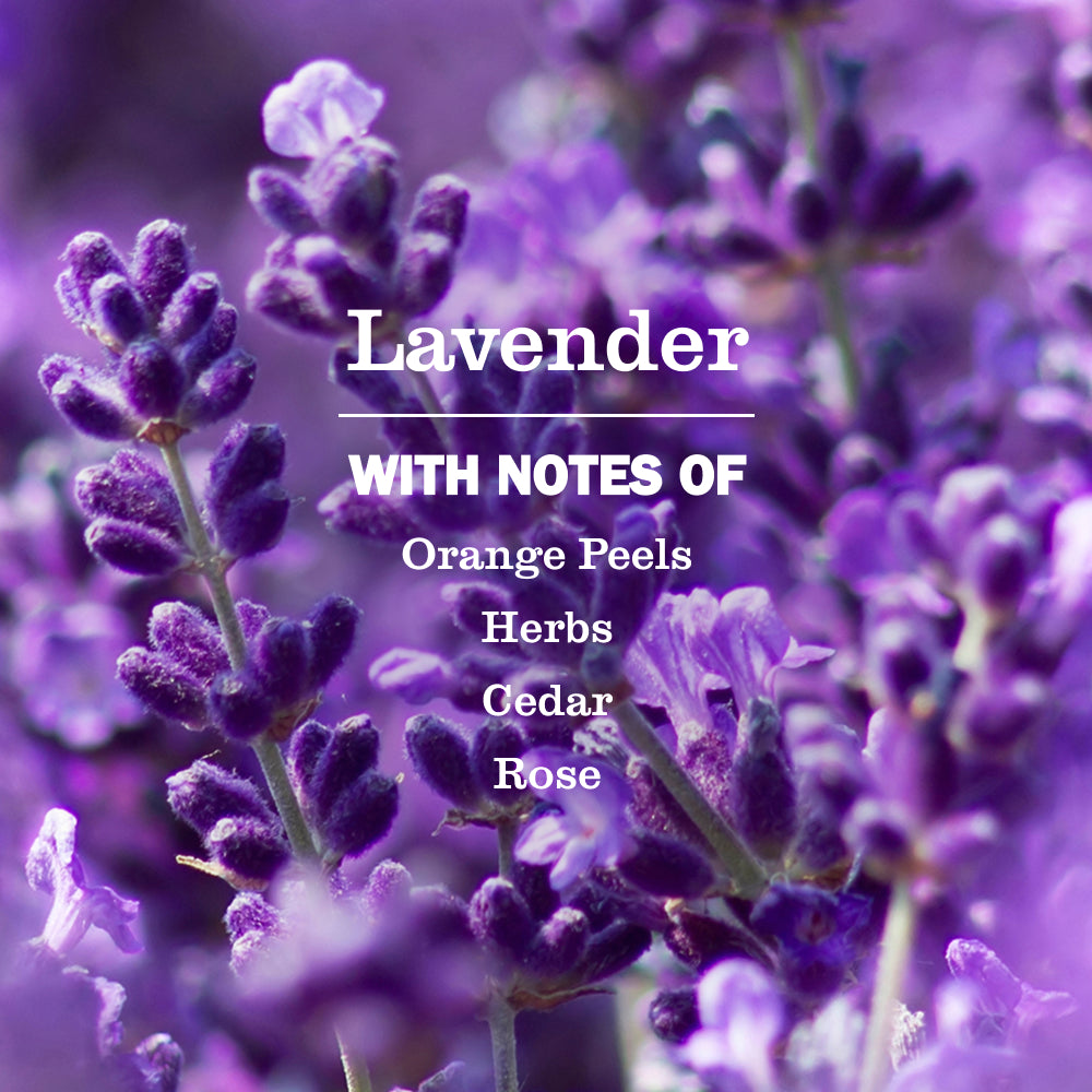 Lavender Dish Soap Refill - View 4