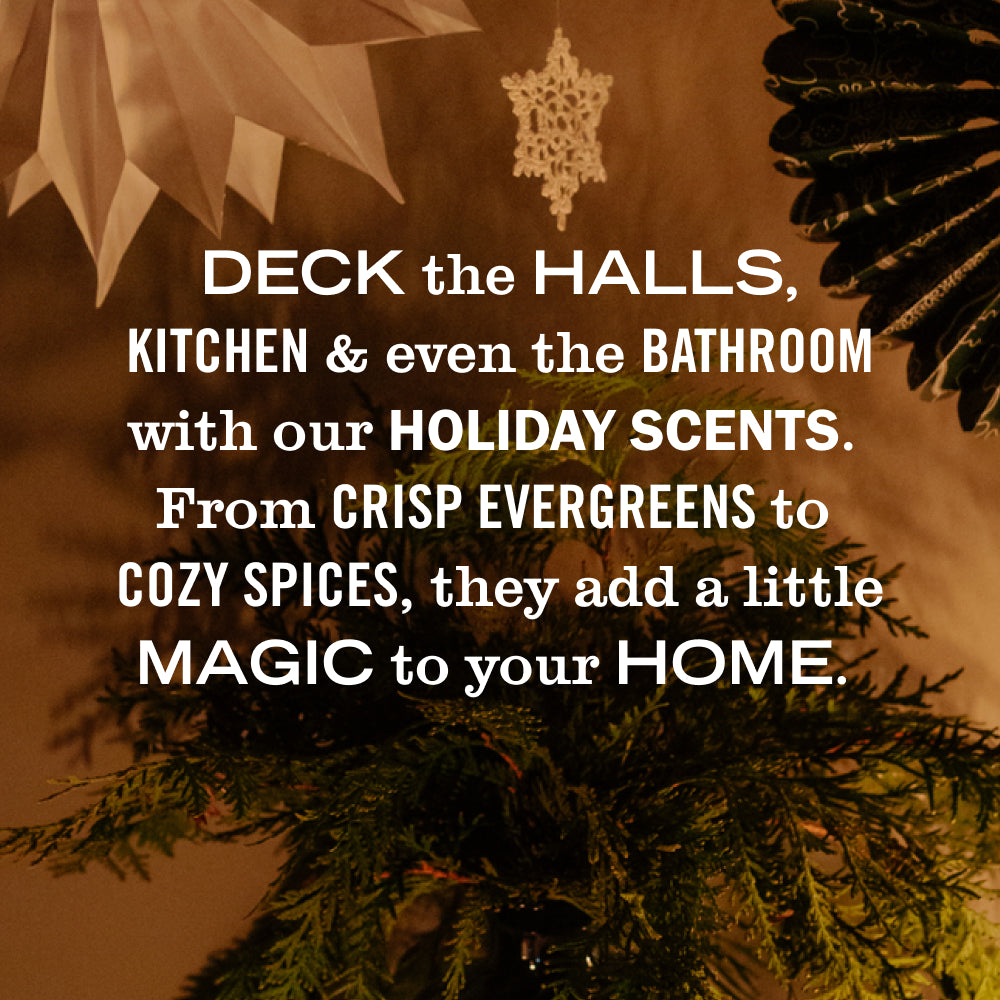 Holiday Seasonal Multi-Surface Everyday Cleaner Collection - View 2