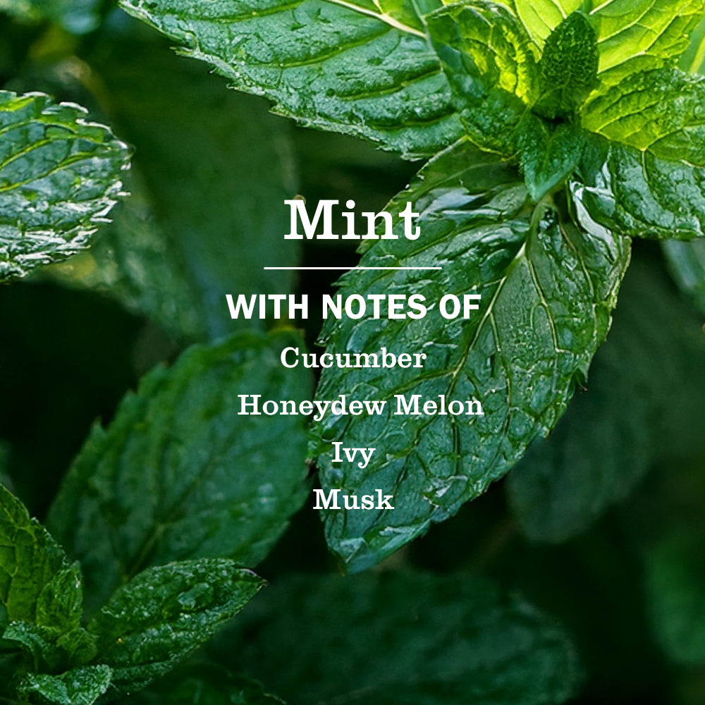 Mint Multi-Surface Everyday Cleaner - View 4