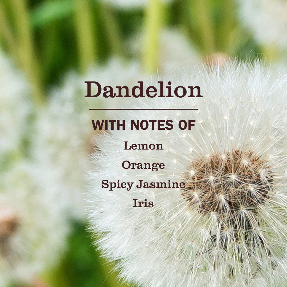 Dandelion Plug In Scented Oil Warmer With Refill - View 6