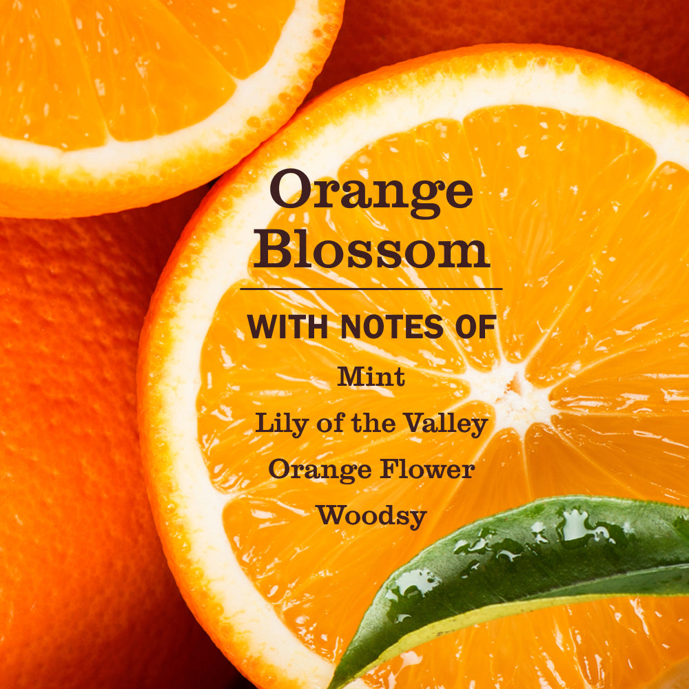 Orange Blossom Pet Stain & Odor Fighter - View 3