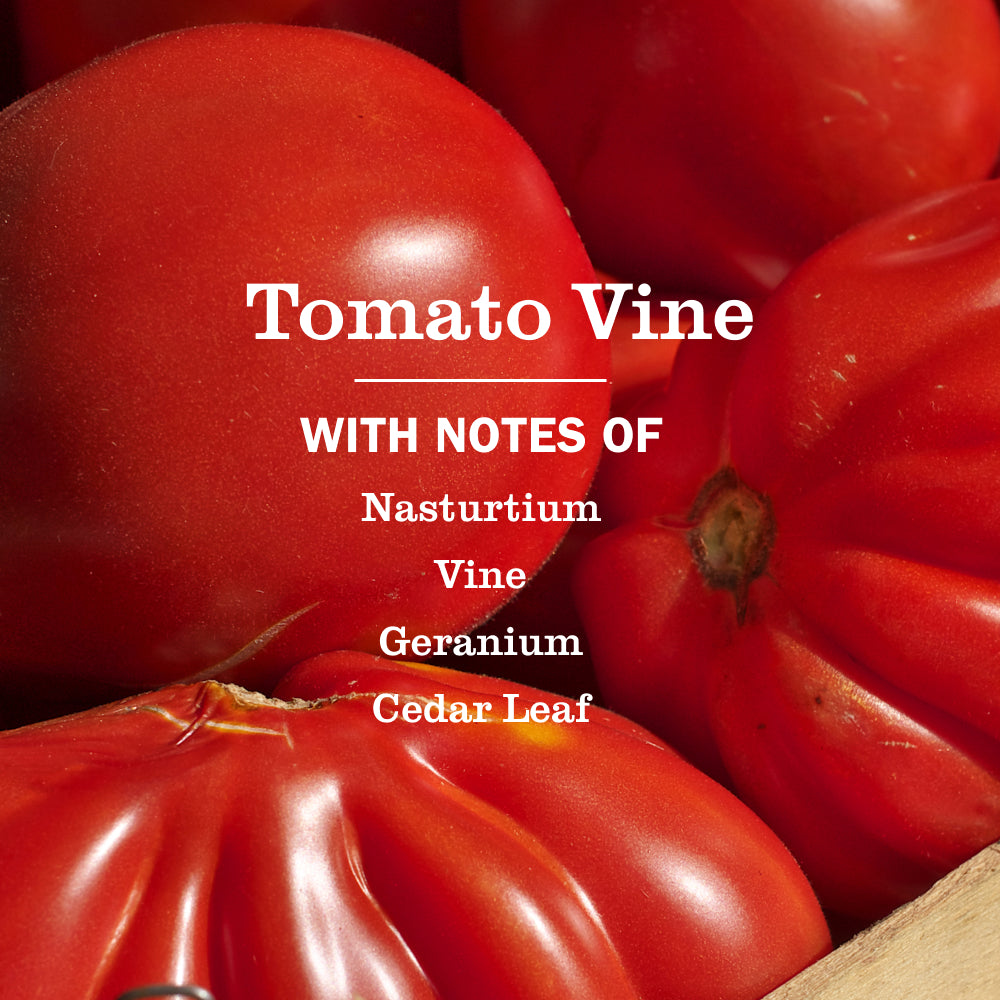 Tomato Vine Room Freshener - View 4