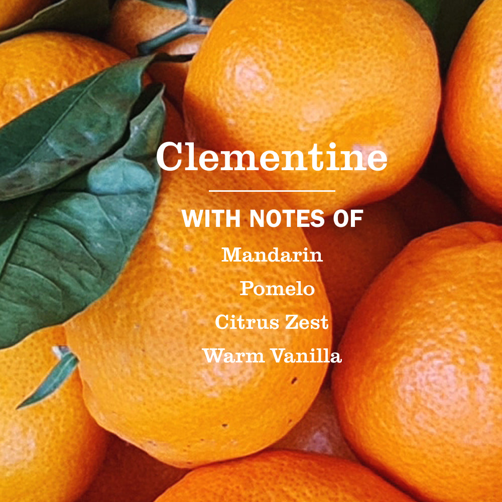 Clementine Dish Soap - View 4