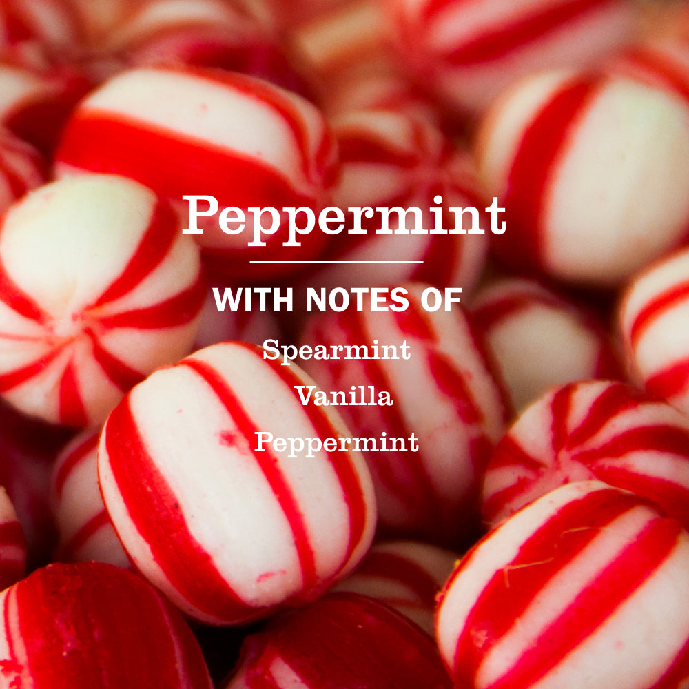 Peppermint Multi-Surface Everyday Cleaner - View 4