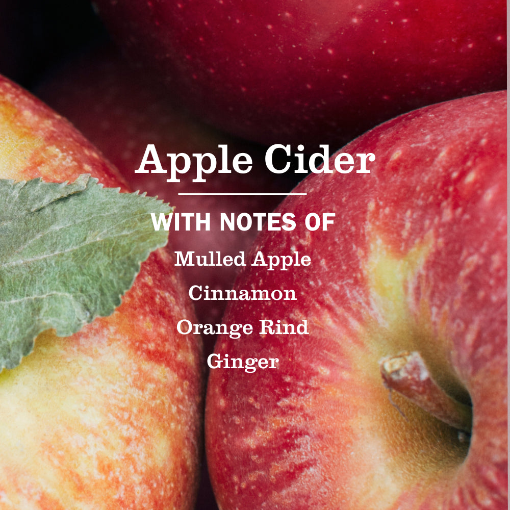 Apple Cider Liquid Hand Soap - View 4