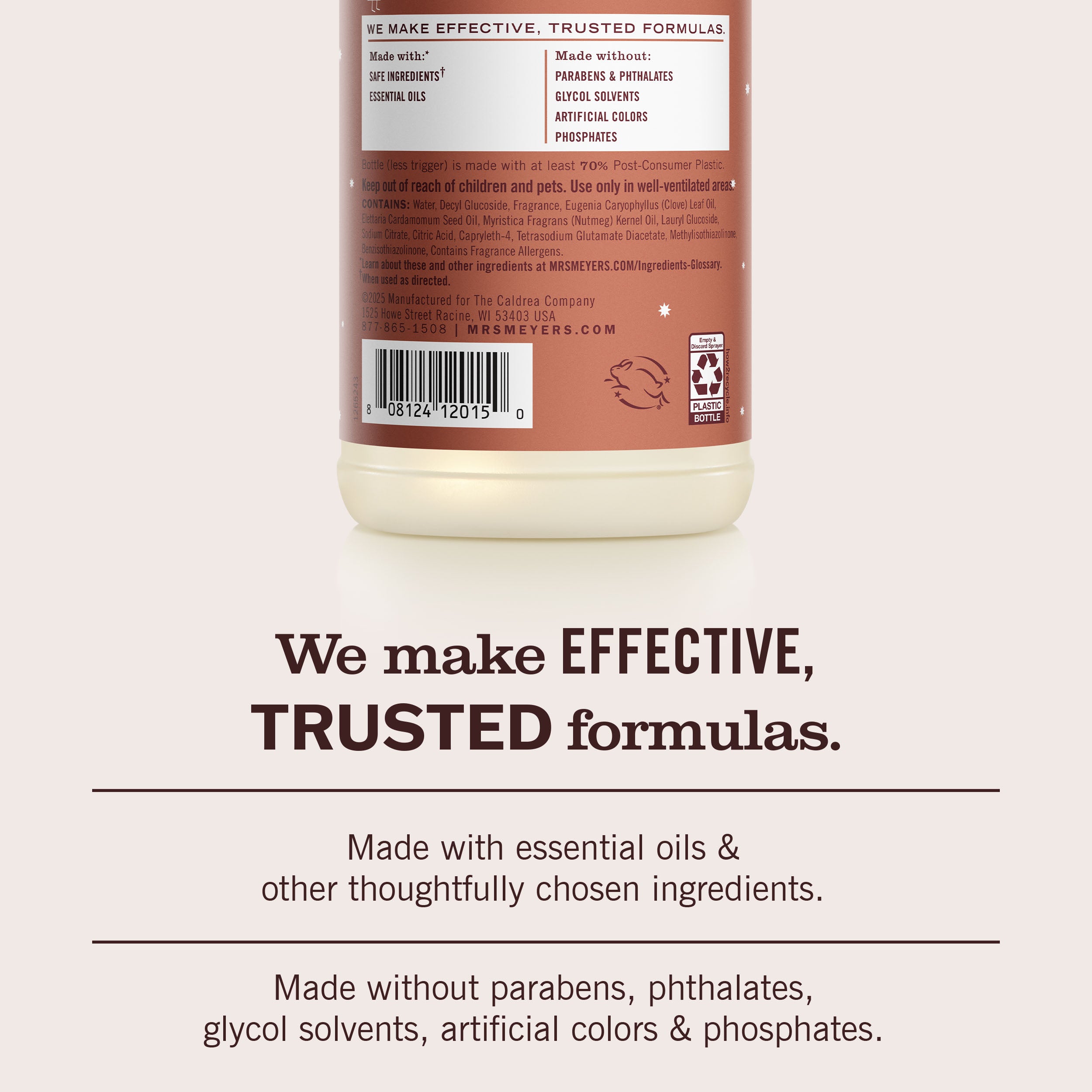 Gingerbread Multi-Surface Everyday Cleaner - View 6