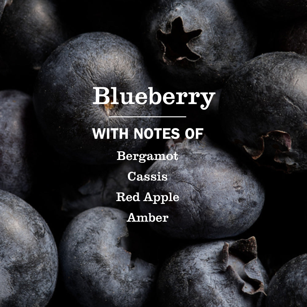 Blueberry Multi-Surface Everyday Cleaner - View 4