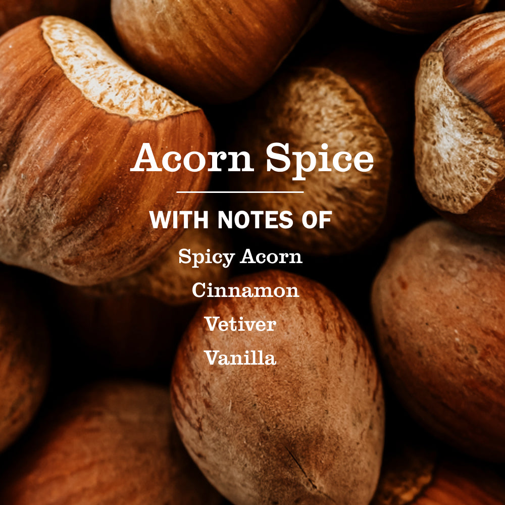 Acorn Spice Room Freshener - View 4