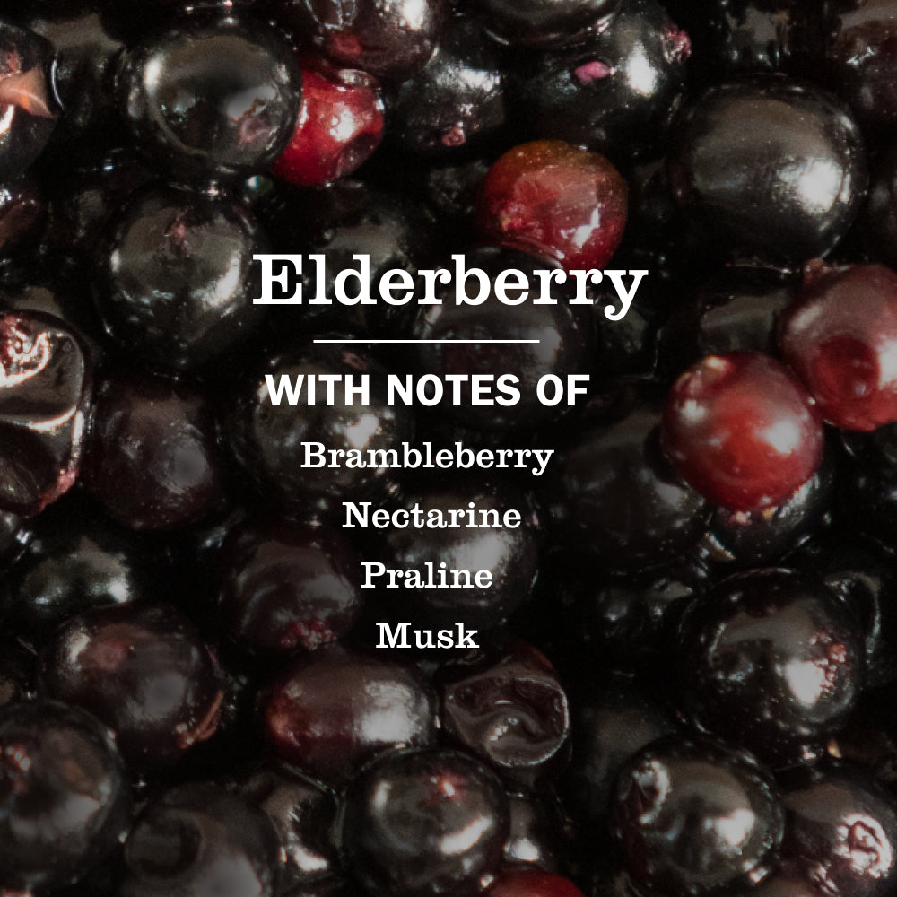 Elderberry Dish Soap - View 4