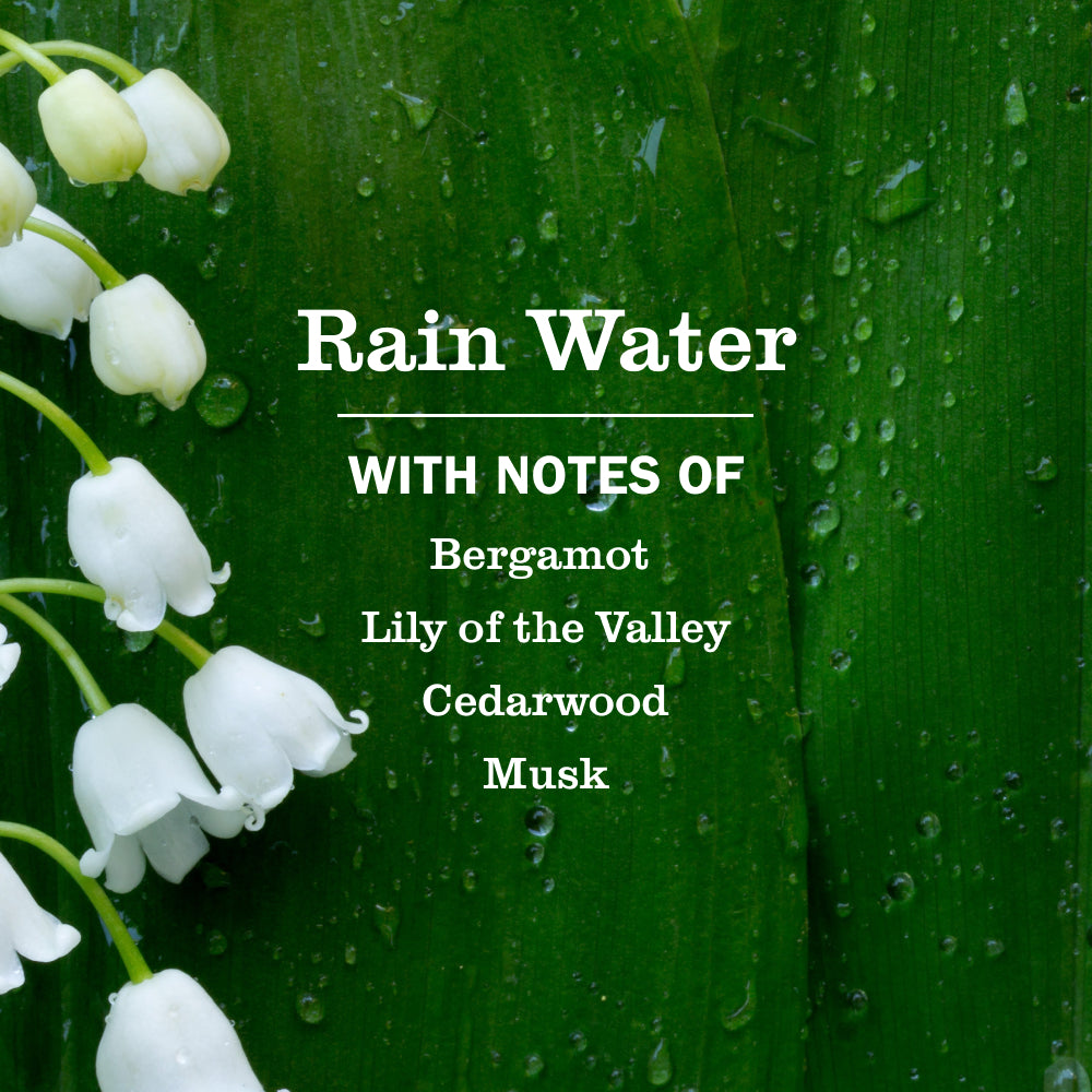 Rain Water Multi-Surface Everyday Cleaner - View 4
