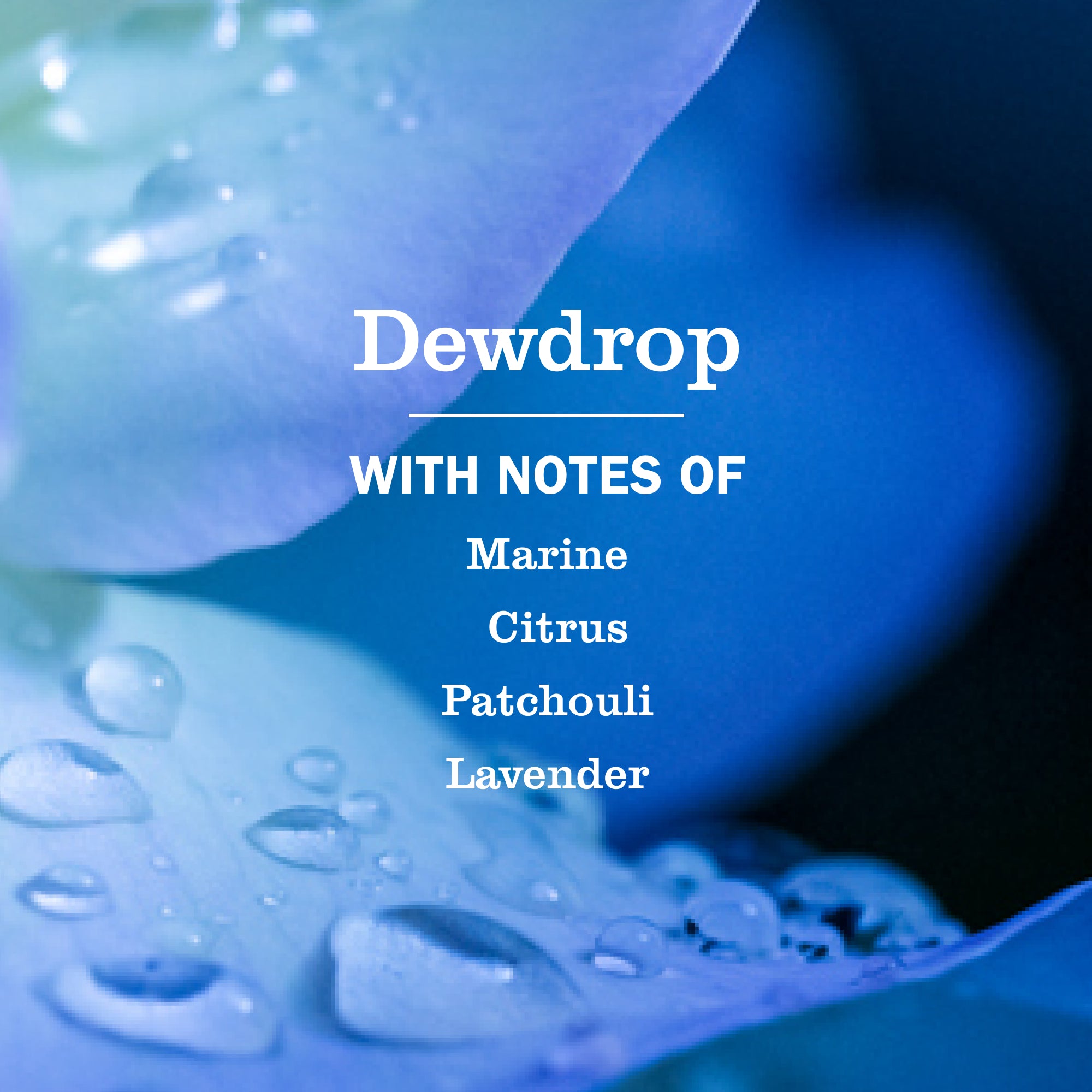 Dewdrop Liquid Hand Soap - View 4