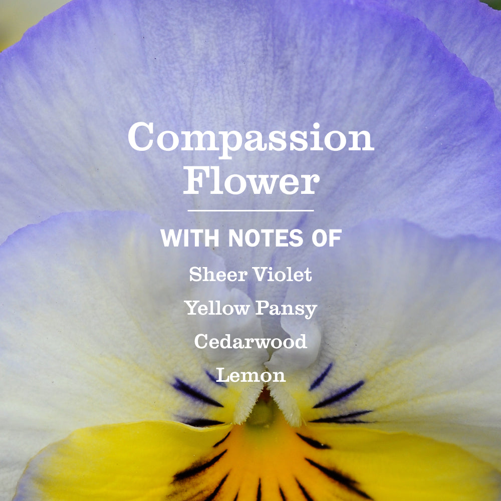 Compassion Flower Multi-Surface Concentrate - View 4