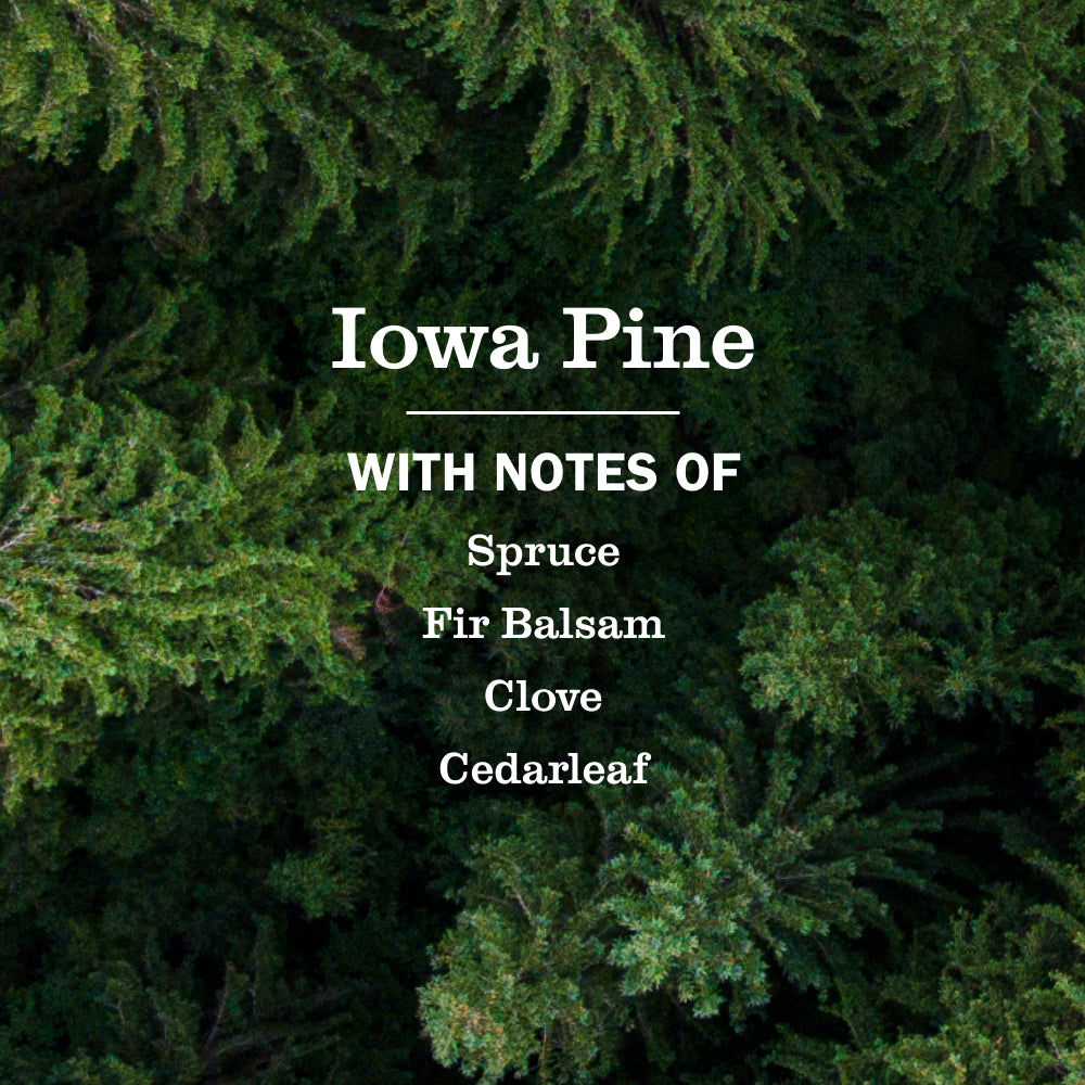Iowa Pine Dish Soap 3-count Bundle - View 4