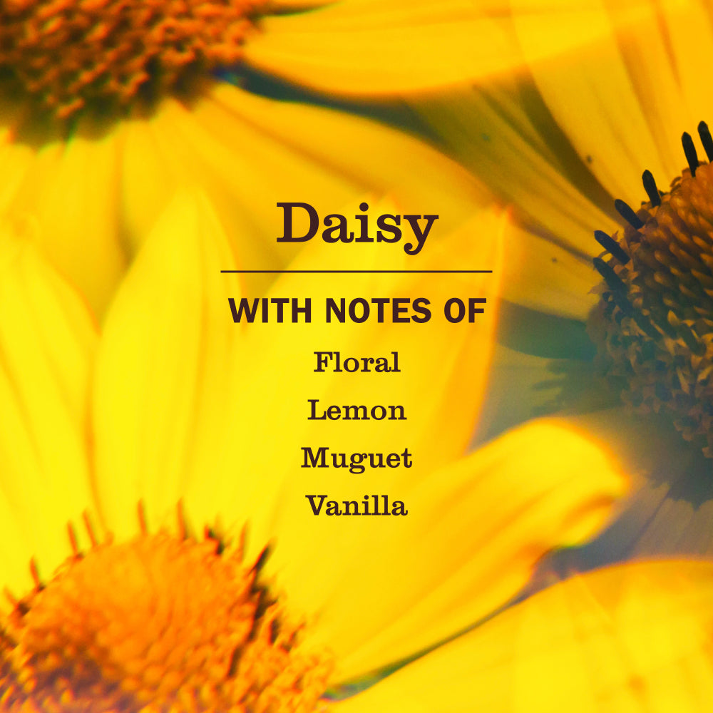 Daisy Liquid Hand Soap 3-count Bundle - View 4