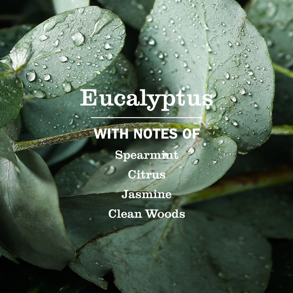 Eucalyptus Liquid Hand Soap - View 4