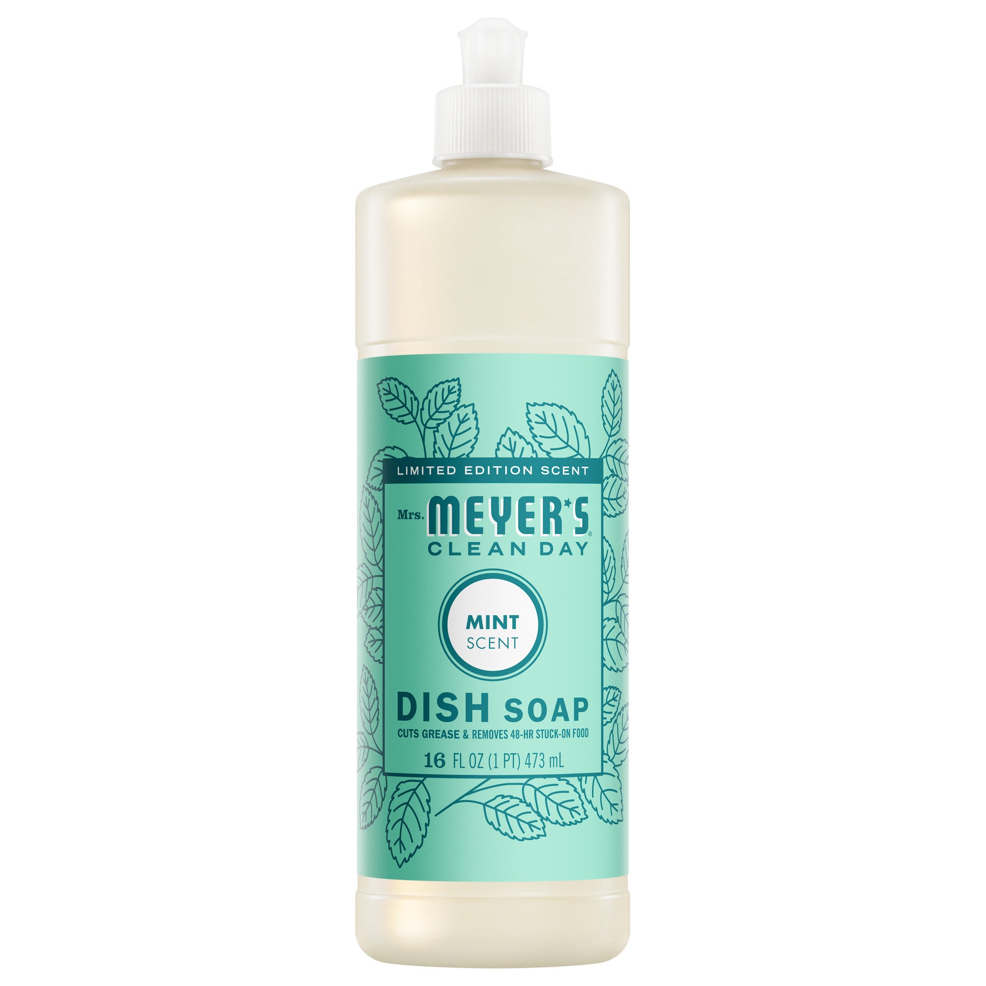 Mint Dish Soap - Main image