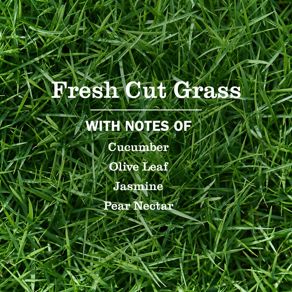 Fresh Cut Grass Dish Soap - View 4