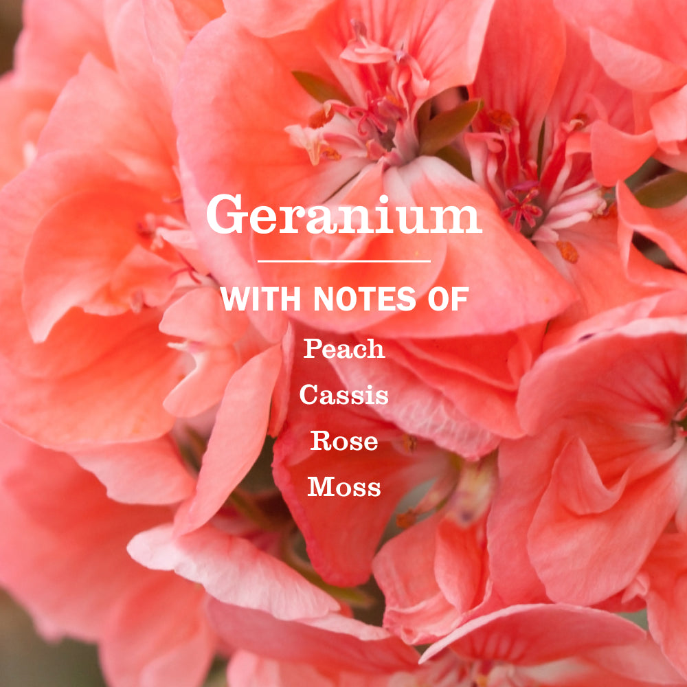 Geranium Liquid Hand Soap Refill - View 4