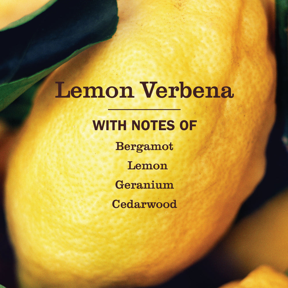 Lemon Verbena Tub & Tile - View 4