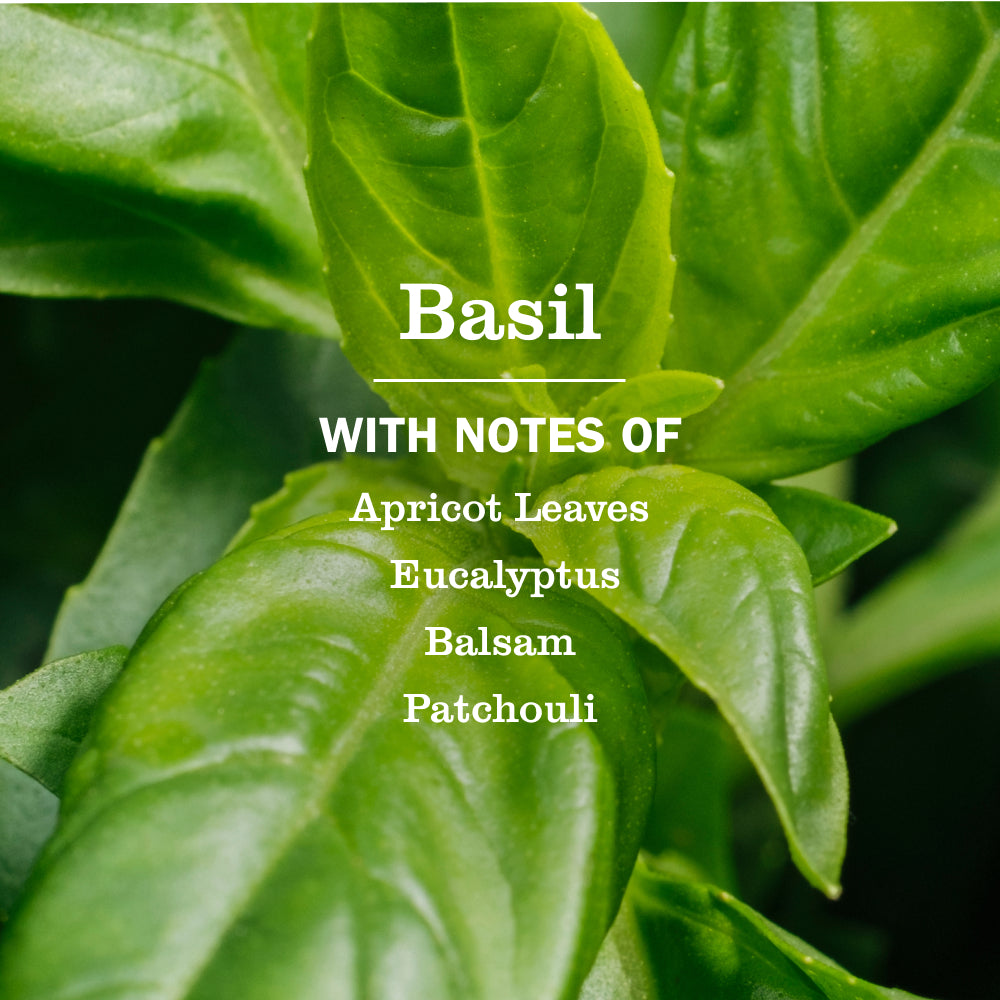 Basil Fabric Softener - View 3