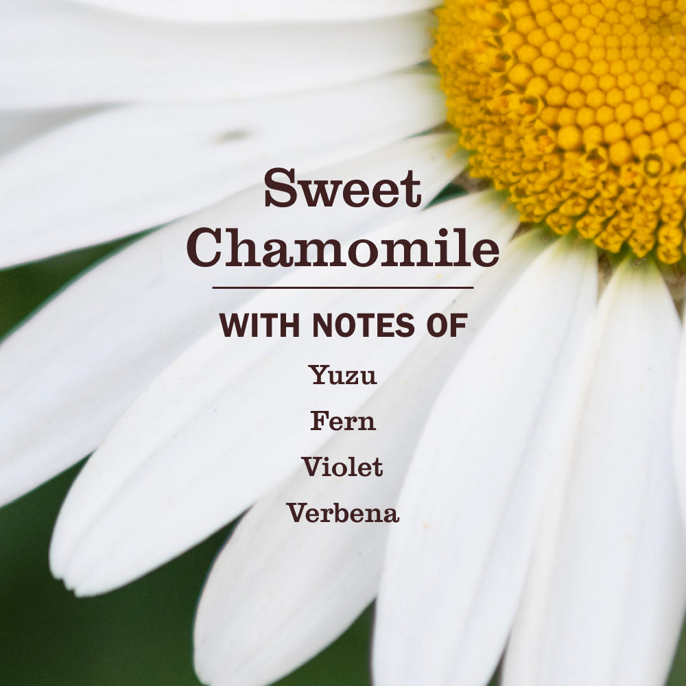 Sweet Chamomile Dog Deodorizing Spritz - View 3