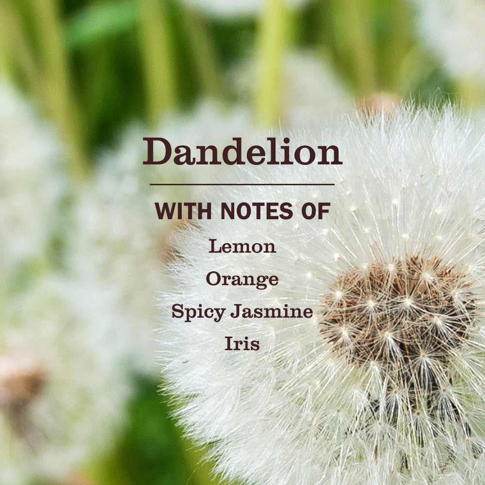 Dandelion Room Freshener - View 4
