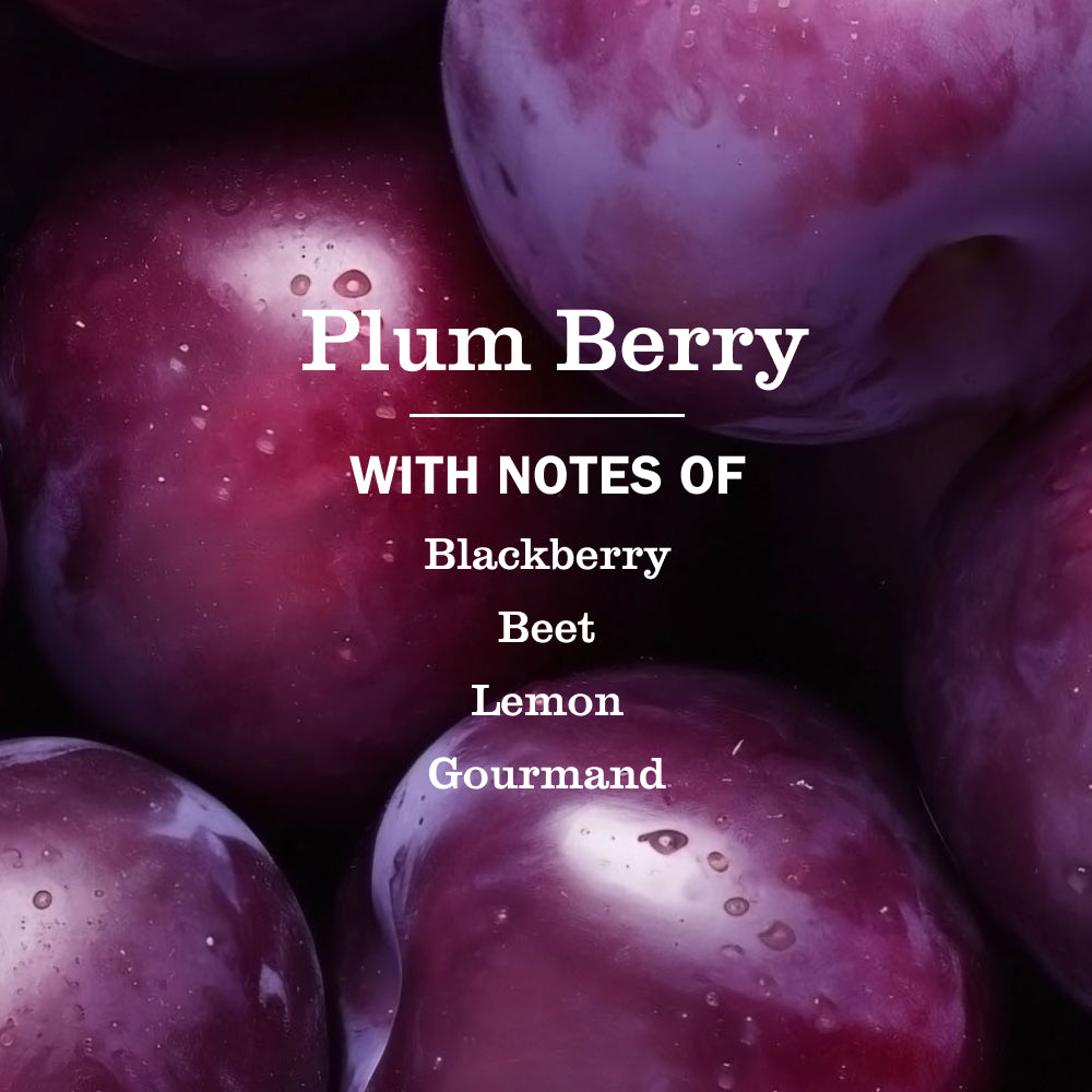 Plum Berry Liquid Hand Soap & Refill Set - View 2